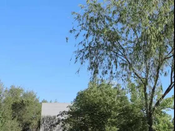 1624678861207044.jpeg 753.jpg