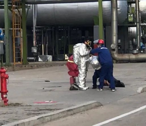 1669799518676879.jpeg 11.jpg