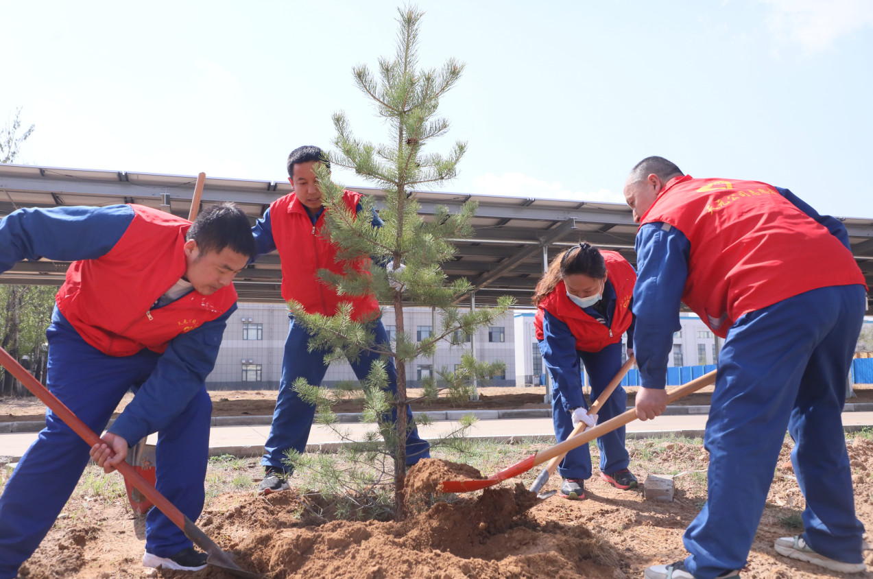 1712880992524504.png 884.png