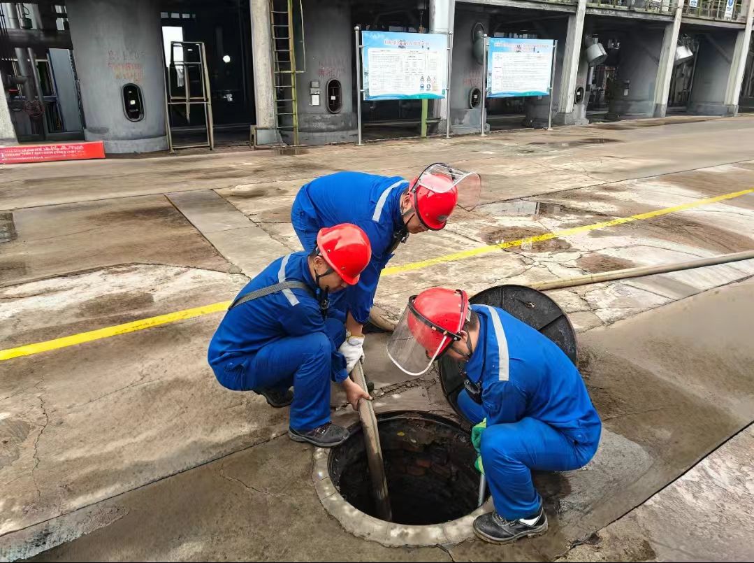 1752043448226476.jpeg 1752043448226476.jpeg